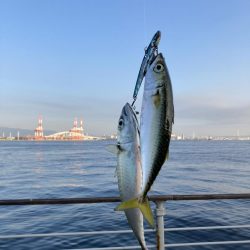 青物っ気からの超鯖無限城。。