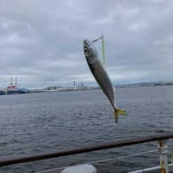 雨上がりに期待するも朝イチ鯖高活性のみw