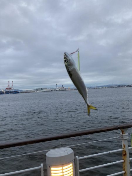 雨上がりに期待するも朝イチ鯖高活性のみw