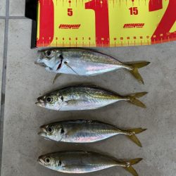 やっと釣れた