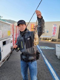 和歌山マリーナシティ釣り公園 釣果