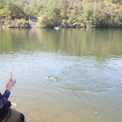 フィッシングレイクたかみや 釣果