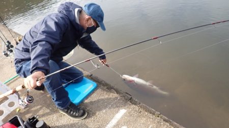 フィッシングレイクたかみや 釣果