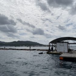 本部釣りイカダ 釣果