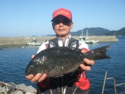 春日丸 釣果