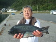 春日丸 釣果