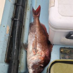 兵庫 瀬戸内海 タイラバ 鯛ラバ テンヤ ジギング船 釣り船 釣果情報サイト カンパリ