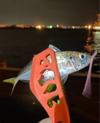 助松埠頭 サバ 陸っぱり 釣り 魚釣り 釣果情報サイト カンパリ