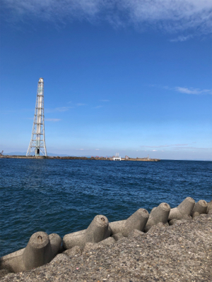 親父たちの釣行　アオリイカ を求めて‼️