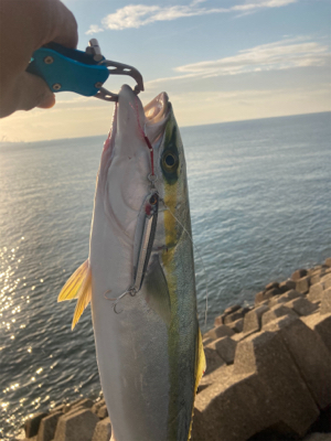 久々の釣り