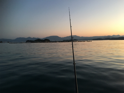 朝まずめエギング川久裏