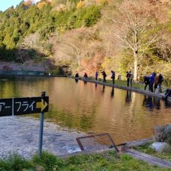 千早川マス釣り場でニジマス