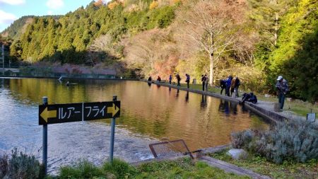 千早川マス釣り場でニジマス