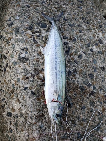 天気恵まれ最初の取れてたら満点だったのに、、！