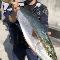 トップで釣りたい