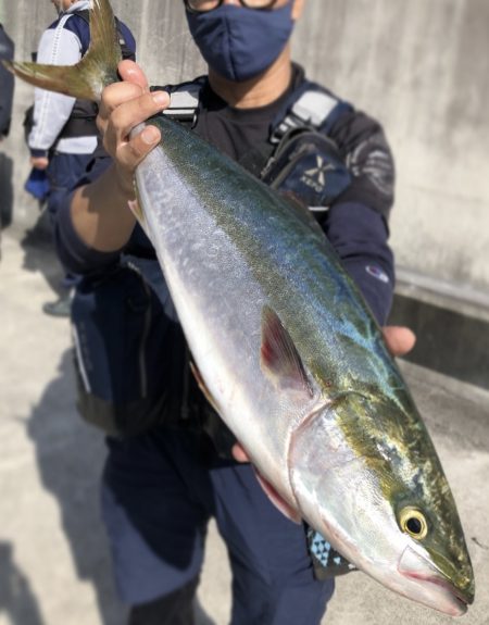 トップで釣りたい