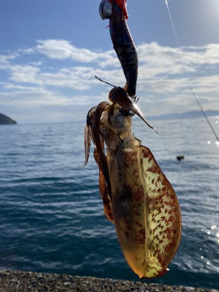 ボウズ覚悟で釣行