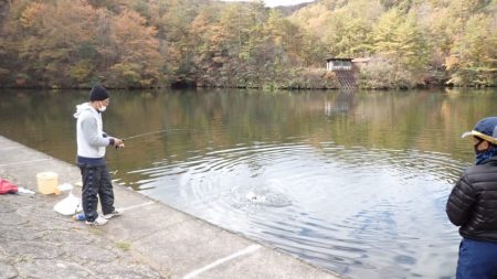 フィッシングレイクたかみや 釣果