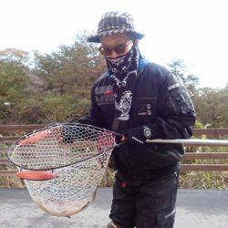 フィッシングレイクたかみや 釣果