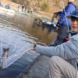 フィッシングレイクたかみや 釣果