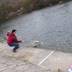 フィッシングレイクたかみや 釣果