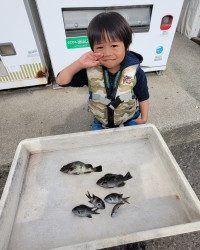 和歌山マリーナシティ釣り公園 釣果