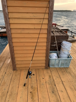 本部釣りイカダ 釣果