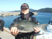 春日丸 釣果