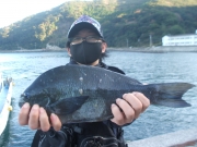 春日丸 釣果