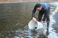 秩父フライフィールド 釣果