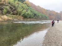 秩父フライフィールド 釣果