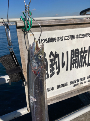 青い牙狙うも。銀牙。。。