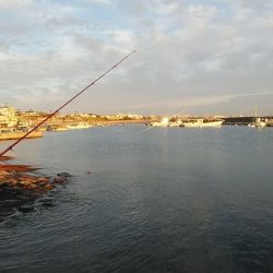 シーズン最大のキスが釣れました