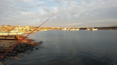 シーズン最大のキスが釣れました