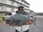 春日丸 釣果