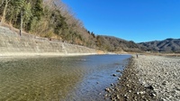 秩父フライフィールド 釣果