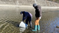 秩父フライフィールド 釣果