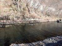 秩父フライフィールド 釣果