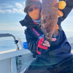 兵庫 瀬戸内海 キジハタ アコウ ジギング船 釣り船 釣果情報サイト カンパリ