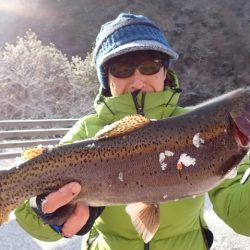 フィッシングレイクたかみや 釣果