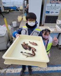 和歌山マリーナシティ釣り公園 釣果