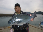 春日丸 釣果