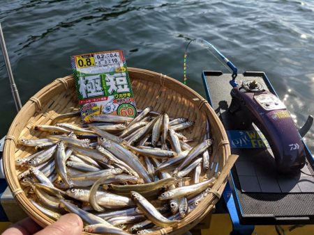 愛知県入鹿池ボート ワカサギ釣り 愛知 愛知 淡水 管理釣り場 釣果情報サイト カンパリ