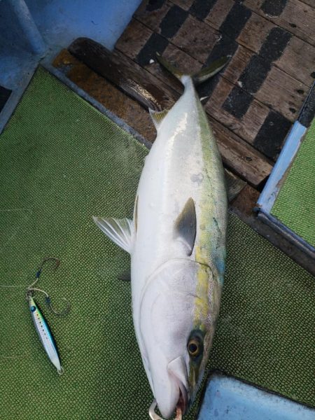 伊勢湾ジギング