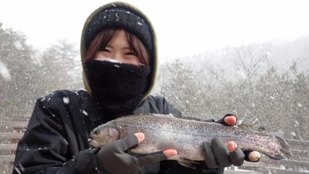 フィッシングレイクたかみや 釣果