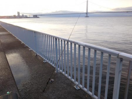 雨後は活性が低い？