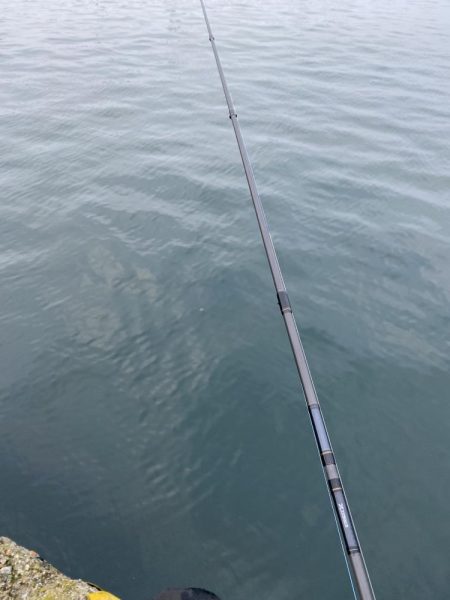 ウグイのみ | 富山県 岩瀬漁港〜浜黒崎海岸 その他ルアー釣り ウグイ