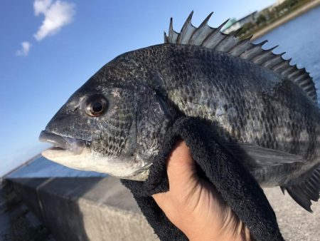 エビ撒き釣り