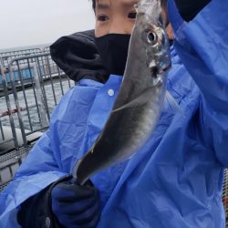 尺アジ釣れました