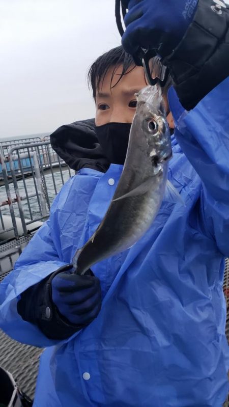 尺アジ釣れました